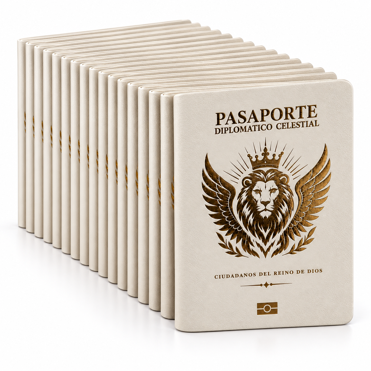 Kit 10 Pasaportes Diplomáticos Celestiales