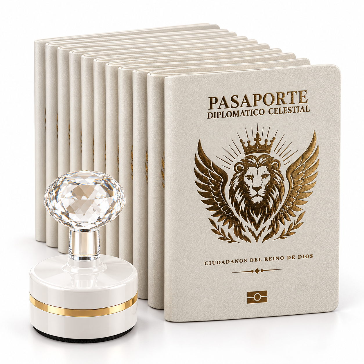 Kit 25 Pasaportes Diplomáticos Celestiales